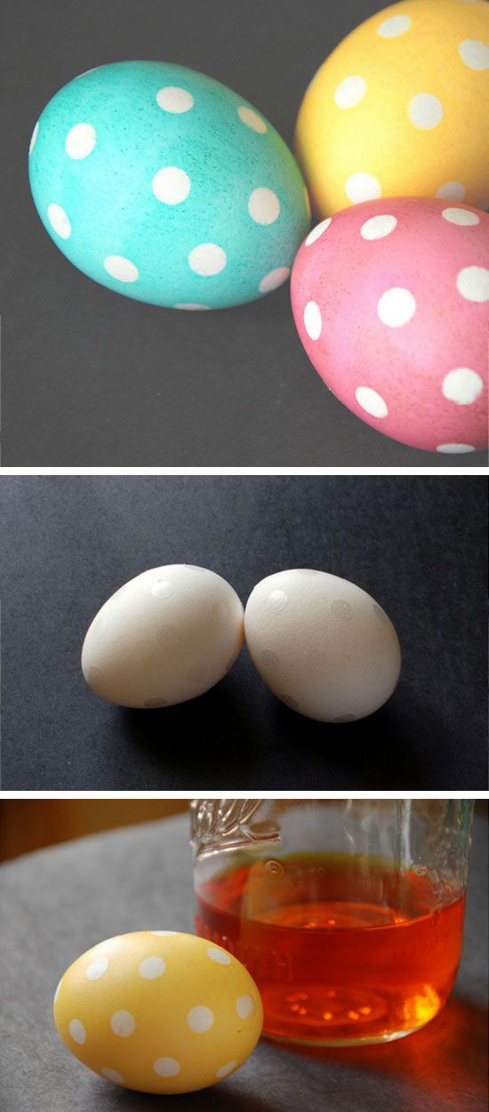 egg polka