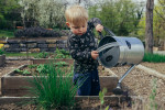 8 λόγοι να ασχοληθείτε με την κηπουρική μαζί με τα παιδιά σας