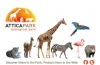 Γιορτάζουμε την Παγκόσμια Ημέρα των Ζώων με εκδηλώσεις και δραστηριότητες στο Αττικό Ζωολογικό Πάρκο